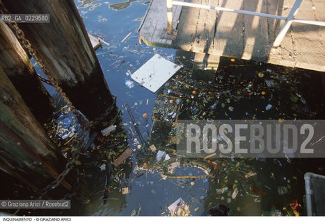 Caption: Localizzazione:..VENEZIA..Oggetto:..Soggetto:..IMMONDIZIE IN CANAL GRANDE..Cronologia: ..Definizione Culturale:..   Autore: ..   Stile: ..   Editori/Stampatori:..   Committenza:..Materia e Tecnica:..Collocazione:..Note:..PROBLEMI INQUINAMENTO DEGRADO URBANO..Riproduzione Fotografica:..Graziano Arici/Rosebud2 .Copyright:..Graziano Arici/Rosebud2 .Data:..1990..Costo:..A
