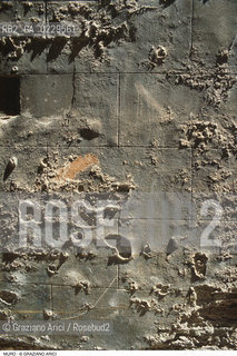 Caption: Localizzazione:..VENEZIA..Oggetto:..Soggetto:..INTONACO..Cronologia: ....Definizione Culturale:..   Autore: ....   Stile:....   Editori/Stampatori:..   Committenza:..Materia e Tecnica:....Collocazione:..Note:..MONUMENTALE EDILIZIA MINORE..Riproduzione Fotografica:..Graziano Arici/Rosebud2 .Copyright:..Graziano Arici/Rosebud2 .Data:..1995..Costo:..A