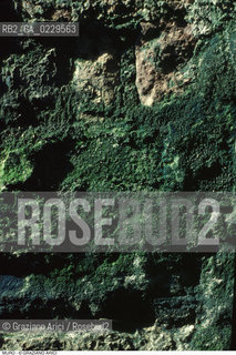 Caption: Localizzazione:..VENEZIA..Oggetto:..Soggetto:..INTONACO..Cronologia: ....Definizione Culturale:..   Autore: ....   Stile:....   Editori/Stampatori:..   Committenza:..Materia e Tecnica:....Collocazione:..Note:..MONUMENTALE EDILIZIA MINORE..Riproduzione Fotografica:..Graziano Arici/Rosebud2 .Copyright:..Graziano Arici/Rosebud2 .Data:..1995..Costo:..A