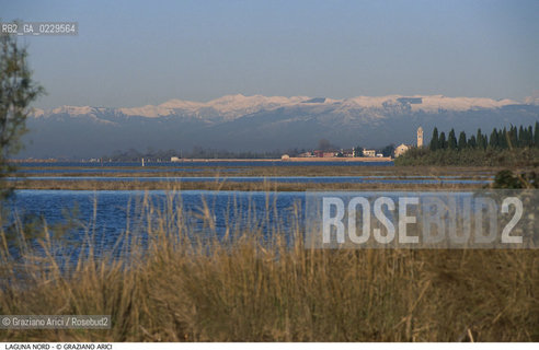 Caption: Caption: Localizzazione:..VENEZIA / LAGUNA NORD..Oggetto:..Soggetto:..VERSO BURANO BARENE  MONTAGNE..Cronologia: ....Definizione Culturale:..   Autore: ..   Stile: ..   Editori/Stampatori:..   Committenza:..Materia e Tecnica:..Collocazione:..Note:....Riproduzione Fotografica:..Graziano Arici/Rosebud2 .Copyright:..Graziano Arici/Rosebud2 .Data:..2000..Costo:..A