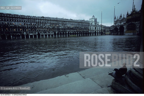 Caption: Nome:..ALTA MAREA..HIGHT TIDE..Localizzazione:..VENEZIA / S. MARCO / PIAZZA S. MARCO..VENICE / ST. MARK  / ST. MARK S SQUARE..Soggetto:..PROCURATIE VECCHIE IN PIAZZA S. MARCO CON LACQUA ALTA / COLOMBI..PROCURATIE VECCHIE IN ST. MARK S SQUARE DURING THE HIGHT TIDE / PIGEONS..Cronologia:......Autore:......Stile:......Editori Stampatori:......Committenza:......Materia e Tecnica:......Collocazione:......Note:....Riproduzione Fotografica:..Graziano Arici/Rosebud2 ...Copyright:..Graziano Arici / rosebud2/....Data:..1992....Costo:..A....Key:..ACQUA ALTA..HIGHT TIDE
