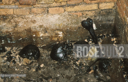 Localizzazione:..VENEZIA / S. MARCO..Oggetto:..Soggetto:..SCAVI ESEGUITI NELLA CHIESA DI S.SAMUELE..ARCHEOLOGIA..Cronologia: ..TOMBE DEL XVI SEC., PAVUMENTI DELLE PRECEDENTI CHIESE DEL XV E XIV SEC...Definizione Culturale:..   Autore: ..   Stile: ..   Editori/Stampatori:..   Committenza:..Materia e Tecnica:..Collocazione:..Note:....Riproduzione Fotografica:..Graziano Arici/Rosebud2 .Copyright:..Graziano Arici/Rosebud2 .Data:..aprile 2001..Costo:..A