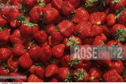 Nome: ..FRAGOLE..Descrizione: ..GASTRONOMIA CIBO  FRUTTA / ROSSO..Credit: ..Graziano Arici/Rosebud2/..Costo: ..A..Nazione: ....Città: ....Data: ..2000