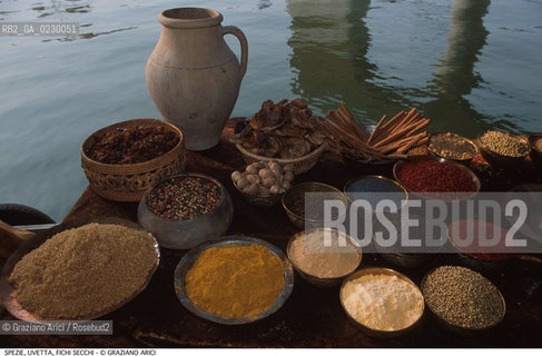 Nome: ..SPEZIE, UVETTA, FICHI SECCHI , ZUCCHERO DI CANNA, CANNELLA..Descrizione: ..GASTRONOMIA CIBO  / ANFORA..Credit: ..Graziano Arici/Rosebud2/..Costo: ..A..Nazione: ....Città: ....Data: ..2000