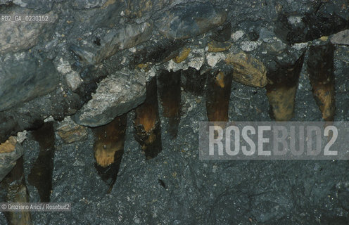 Localizzazione:..VENEZIA / S. MARCO..Oggetto:..Soggetto:..SCAVI ESEGUITI NELLA CHIESA DI S.SAMUELE..ARCHEOLOGIA..Cronologia: ..TOMBE DEL XVI SEC., PAVUMENTI DELLE PRECEDENTI CHIESE DEL XV E XIV SEC...Definizione Culturale:..   Autore: ..   Stile: ..   Editori/Stampatori:..   Committenza:..Materia e Tecnica:..Collocazione:..Note:....Riproduzione Fotografica:..Graziano Arici/Rosebud2 .Copyright:..Graziano Arici/Rosebud2 .Data:..aprile 2001..Costo:..A