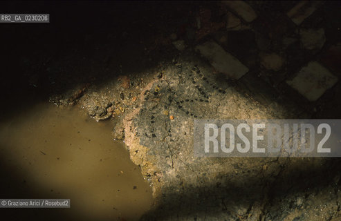 Localizzazione:..VENEZIA / S. MARCO..Oggetto:..Soggetto:..SCAVI ESEGUITI NELLA CHIESA DI S.SAMUELE..ARCHEOLOGIA..Cronologia: ..TOMBE DEL XVI SEC., PAVUMENTI DELLE PRECEDENTI CHIESE DEL XV E XIV SEC...Definizione Culturale:..   Autore: ..   Stile: ..   Editori/Stampatori:..   Committenza:..Materia e Tecnica:..Collocazione:..Note:....Riproduzione Fotografica:..Graziano Arici/Rosebud2 .Copyright:..Graziano Arici/Rosebud2 .Data:..aprile 2001..Costo:..A