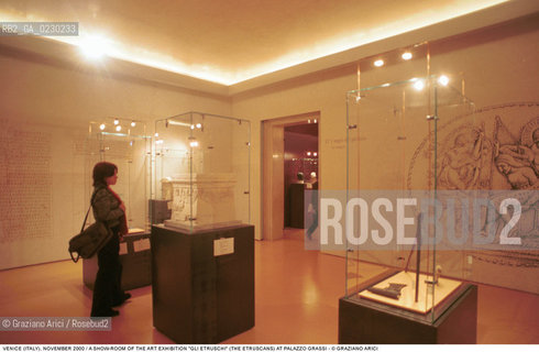 ARTE / UNA SALA DELLA MOSTRA GLI ETRUSCHI A PALAZZO GRASSI / 2000 - ©Graziano Arici/Rosebud2