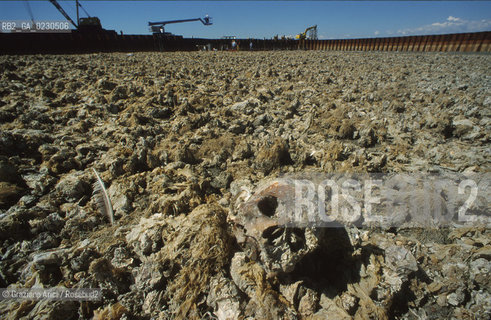 Nome:..BARENA SITO DI SAN MARCO IN BOCCALAMA....Localizzazione:..VENEZIA /  LAGUNA SUD..VENICE /  THE SOUTH LAGOON..Soggetto:..RICERCHE SUBACQUEEE / IDRA / CONSORZIO VENEZIA NUOVA / LAVORI DI RILEVAZIONE E MESSA IN ASCIUTTO DELLAREA DELLANTICA ISOLA E  DELLE DUE IMBARCAZIONI / GALEA / RASCONA / ARCHEOLOGIA..Cronologia:..1300 / XIV SECOLO....Autore:......Stile:......Editori Stampatori:......Committenza:......Materia e Tecnica:......Collocazione:......Note:....Riproduzione Fotografica:..Graziano Arici/Rosebud2 ...Copyright:..Graziano Arici / rosebud2/....Data:..2001....Costo:..A....Key:..ISOLE ABBANDONATE..UNINHABITED ISLANDS