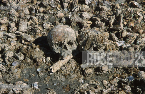 Nome:..BARENA SITO DI SAN MARCO IN BOCCALAMA....Localizzazione:..VENEZIA /  LAGUNA SUD..VENICE /  THE SOUTH LAGOON..Soggetto:..RICERCHE SUBACQUEEE / IDRA / CONSORZIO VENEZIA NUOVA / LAVORI DI RILEVAZIONE E MESSA IN ASCIUTTO DELLAREA DELLANTICA ISOLA E  DELLE DUE IMBARCAZIONI / GALEA / RASCONA / ARCHEOLOGIA..Cronologia:..1300 / XIV SECOLO....Autore:......Stile:......Editori Stampatori:......Committenza:......Materia e Tecnica:......Collocazione:......Note:....Riproduzione Fotografica:..Graziano Arici/Rosebud2 ...Copyright:..Graziano Arici / rosebud2/....Data:..2001....Costo:..A....Key:..ISOLE ABBANDONATE..UNINHABITED ISLANDS