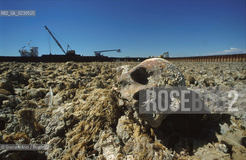 Nome:..BARENA SITO DI SAN MARCO IN BOCCALAMA....Localizzazione:..VENEZIA /  LAGUNA SUD..VENICE /  THE SOUTH LAGOON..Soggetto:..RICERCHE SUBACQUEEE / IDRA / CONSORZIO VENEZIA NUOVA / LAVORI DI RILEVAZIONE E MESSA IN ASCIUTTO DELLAREA DELLANTICA ISOLA E  DELLE DUE IMBARCAZIONI / GALEA / RASCONA / ARCHEOLOGIA..Cronologia:..1300 / XIV SECOLO....Autore:......Stile:......Editori Stampatori:......Committenza:......Materia e Tecnica:......Collocazione:......Note:....Riproduzione Fotografica:..Graziano Arici/Rosebud2 ...Copyright:..Graziano Arici / rosebud2/....Data:..2001....Costo:..A....Key:..ISOLE ABBANDONATE..UNINHABITED ISLANDS