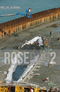 Nome:..BARENA SITO DI SAN MARCO IN BOCCALAMA....Localizzazione:..VENEZIA /  LAGUNA SUD..VENICE /  THE SOUTH LAGOON..Soggetto:..RICERCHE SUBACQUEEE / IDRA / CONSORZIO VENEZIA NUOVA / LAVORI DI RILEVAZIONE E MESSA IN ASCIUTTO DELLAREA DELLANTICA ISOLA E  DELLE DUE IMBARCAZIONI / GALEA / RASCONA / ARCHEOLOGIA ..Cronologia:..1300 / XIV SECOLO....Autore:......Stile:......Editori Stampatori:......Committenza:......Materia e Tecnica:......Collocazione:......Note:....Riproduzione Fotografica:..Graziano Arici/Rosebud2 ...Copyright:..Graziano Arici / rosebud2/....Data:..2001....Costo:..A....Key:..ISOLE ABBANDONATE..UNINHABITED ISLANDS