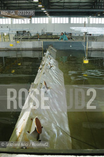 CENTRO SPERIMENTALE PER MODELLI IDRAULICI DI VOLTABAROZZO MODELLO DELLA LAGUNA - @ Graziano Arici/Rosebud2 /   ALTA MAREA CONSORZIO VENEZIA NUOVA