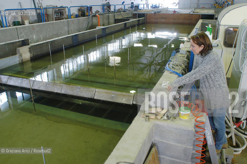 CENTRO SPERIMENTALE PER MODELLI IDRAULICI DI VOLTABAROZZO MODELLO DELLA LAGUNA - @ Graziano Arici/Rosebud2 /   ALTA MAREA CONSORZIO VENEZIA NUOVA