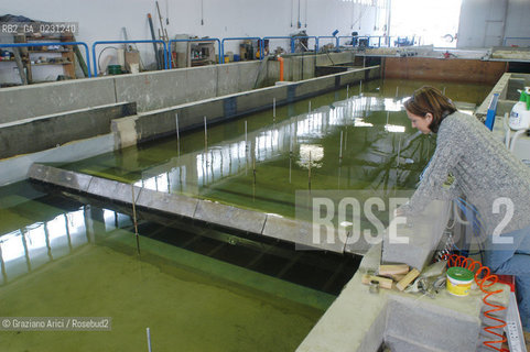 CENTRO SPERIMENTALE PER MODELLI IDRAULICI DI VOLTABAROZZO MODELLO DELLA LAGUNA - @ Graziano Arici/Rosebud2 /   ALTA MAREA CONSORZIO VENEZIA NUOVA