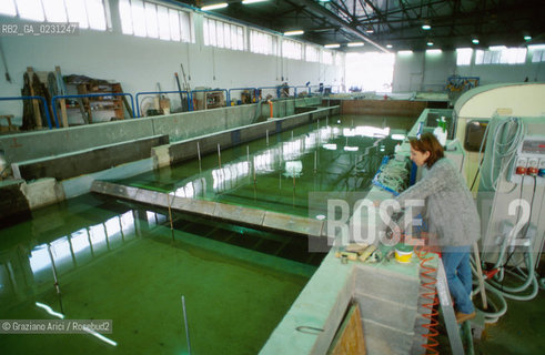 CENTRO SPERIMENTALE PER MODELLI IDRAULICI DI VOLTABAROZZO  - PROVE DI MOTO ONDOSO SULLE BARRIERE MOBILI - @ Graziano Arici/Rosebud2 /   ALTA MAREA CONSORZIO VENEZIA NUOVA