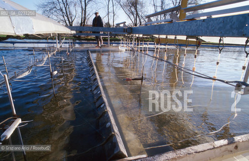 CENTRO SPERIMENTALE PER MODELLI IDRAULICI DI VOLTABAROZZO  - PROVE DI MOTO ONDOSO SULLE BARRIERE MOBILI - @ Graziano Arici/Rosebud2 /   ALTA MAREA CONSORZIO VENEZIA NUOVA