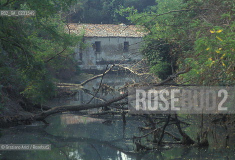 Caption: Nome:..ISOLA DI SANTANDREA: IL FORTE....Localizzazione:..VENEZIA / ISOLA DI SANTANDREA  / LAGUNA NORD..VENICE / THE ISLE OF SANTANDREA / THE NORTH LAGOON..Soggetto:..ISOLA DI SANTANDREA / IL FORTE..THE ISLE OF SANTANDREA / THE FORT..Cronologia:..SEC. XVI SECONDO QUARTO / 1543..XVIth CENTURY / 1543..Autore:..MICHELE SANMICHIELI (1484-1559)....Stile:......Editori Stampatori:......Committenza:..SIGNORIA DI VENEZIA CON DECRETO DEL 23 DICEMBRE 1534..SIGNORIA OF VENICE WITH DECREE OF 23 DECEMBER 1534..Materia e Tecnica:..STRUTTURA IN MATTONI RIVESTITA IN PIETRA DISTRIA..BRICK STRUCTURE COVERED  WITH ISTRIAN STONE..Collocazione:......Note:..LISOLA OSPITA LE CASERME DEL REGGIMENTO LAGUNARI SERENISSIMA / QUI VI FU PREPARATO IL VOLO SU VIENNA DI GABRIELE DANNUNZIO IL 9 AGOSTO DEL 1918..THE ISLAND IS THE SEAT OF THE LAGUNARI SERENISSIMA REGIMENT / HERE, GABRIELE DANNUNZIO ORGANISED THE FLIGHT TO VIENNA ON 9 AUGUST 1918 ..Riproduzione Fotografica:..Graziano Arici/Rosebud2 ...Copyright:..Graziano Arici / rosebud2/....Data:..1993....Costo:..A....Key:..ISOLE ABBANDONATE..UNINHABITED ISLANDS