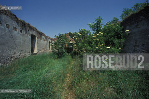 Caption: Nome:..ISOLA DI SANTANGELO DELLA POLVERE....Localizzazione:..VENEZIA / ISOLA DI SANTANGELO DELLA POLVERE / LAGUNA SUD..VENICE / THE ISLE OF SANTANGELO DELLA POLVERE  / THE SOUTH LAGOON..Soggetto:..ISOLA DI SANTANGELO DELLA POLVERE / RESTI DI UN EDIFICIO..THE ISLE OF SANTANGELO DELLA POLVERE / REMAINS OF A BUILDING ..Cronologia:......Autore:......Stile:......Editori Stampatori:.... ..Committenza:......Materia e Tecnica:......Collocazione:......Note:..DI ORIGINARIA DESTINAZIONE CONVENTUALE (1060) DALLA SECONDA METÀ DEL XVI SECOLO VENNE UTILIZZATA FINO AL 1946 PER IMPIANTI MILITARI ..ORIGINALLY ESTABLISHED  AS THE SITE OF A MONASTERY (1060) THE ISLAND WAS USED FOR MILITARY PURPOSES FROM THE MID-SIXTEENTH CENTURY UNTIL 1946..Riproduzione Fotografica:..Graziano Arici/Rosebud2 ...Copyright:..Graziano Arici / rosebud2/....Data:..1993....Costo:..A....Key:..ISOLE ABBANDONATE..UNINHABITED ISLANDS