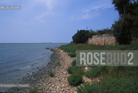 Caption: Nome:..LE SALINE DALLISOLA DI SANTARIANO....Localizzazione:..VENEZIA / ISOLA DI SANTARIANO / LAGUNA NORD..VENICE / THE ISLE OF SANTARIANO   / THE NORTH LAGOON..Soggetto:..LE SALINE DALLISOLA DI SANTARIANO..LE SALINE FROM THE ISLE OF SANTARIANO..Cronologia:......Autore:......Stile:......Editori Stampatori:......Committenza:......Materia e Tecnica:......Collocazione:......Note:..NEL 1565 VIENE REALIZZATO UN MURO CHE RECINGE ANCORA OGGI LA PARTE DELLISOLA ALLORA DESTINATA AD OSSARIO..IN 1565 A WALL HAS BEEN BUILT TO SURROUND AN OSSUARY..Riproduzione Fotografica:..Graziano Arici/Rosebud2 ...Copyright:..Graziano Arici / rosebud2/....Data:..1993....Costo:..A....Key:..ISOLE ABBANDONATE..UNINHABITED ISLANDS