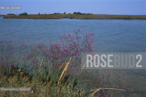 Caption: Nome:..LE SALINE DALLISOLA DI SANTARIANO....Localizzazione:..VENEZIA / ISOLA DI SANTARIANO / LAGUNA NORD..VENICE / THE ISLE OF SANTARIANO   / THE NORTH LAGOON..Soggetto:..LE SALINE DALLISOLA DI SANTARIANO..LE SALINE FROM THE ISLE OF SANTARIANO..Cronologia:......Autore:......Stile:......Editori Stampatori:......Committenza:......Materia e Tecnica:......Collocazione:......Note:..NEL 1565 VIENE REALIZZATO UN MURO CHE RECINGE ANCORA OGGI LA PARTE DELLISOLA ALLORA DESTINATA AD OSSARIO..IN 1565 A WALL HAS BEEN BUILT TO SURROUND AN OSSUARY..Riproduzione Fotografica:..Graziano Arici/Rosebud2 ...Copyright:..Graziano Arici / rosebud2/....Data:..1993....Costo:..A....Key:..ISOLE ABBANDONATE..UNINHABITED ISLANDS