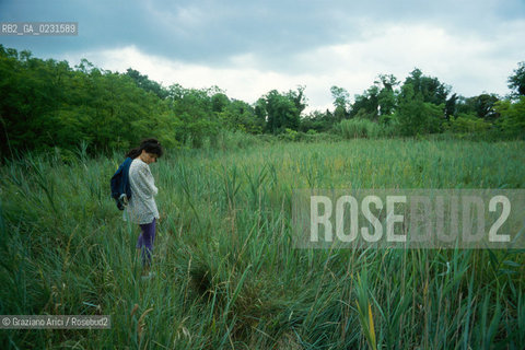 Caption: Nome:..ISOLA DELLA CERTOSA....Localizzazione:..VENEZIA / ISOLA DELLA CERTOSA / LAGUNA NORD..VENICE / THE ISLE OF CERTOSA / THE NORTH LAGOON..Soggetto:..ISOLA DELLA CERTOSA..ISLE OF  CERTOSA..Cronologia:......Autore:......Stile:......Editori Stampatori:......Committenza:......Materia e Tecnica:......Collocazione:......Note:..NEL 1199 FURONO COSTRUITI UNA CHIESA E UN CONVENTO / DAL 1806 DIVENNE ZONA MILITARE..IN 1199 A CHURCH AND A CONVENT WERE BUILT / IT BECAME MILITARY ZONE IN 1806..Riproduzione Fotografica:..Graziano Arici/Rosebud2 ...Copyright:..Graziano Arici / rosebud2/....Data:..1993....Costo:..A....Key:..ISOLE ABBANDONATE..UNINHABITED ISLANDS
