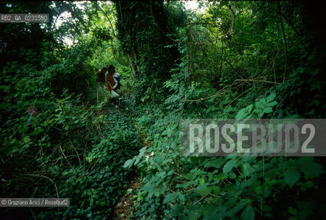 Caption: Nome:..ISOLA DELLA CERTOSA....Localizzazione:..VENEZIA / ISOLA DELLA CERTOSA / LAGUNA NORD..VENICE / THE ISLE OF CERTOSA / THE NORTH LAGOON..Soggetto:..ISOLA DELLA CERTOSA..ISLE OF  CERTOSA..Cronologia:......Autore:......Stile:......Editori Stampatori:......Committenza:......Materia e Tecnica:......Collocazione:......Note:..NEL 1199 FURONO COSTRUITI UNA CHIESA E UN CONVENTO / DAL 1806 DIVENNE ZONA MILITARE..IN 1199 A CHURCH AND A CONVENT WERE BUILT / IT BECAME MILITARY ZONE IN 1806..Riproduzione Fotografica:..Graziano Arici/Rosebud2 ...Copyright:..Graziano Arici / rosebud2/....Data:..1993....Costo:..A....Key:..ISOLE ABBANDONATE..UNINHABITED ISLANDS