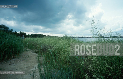 Caption: Nome:..ISOLA DELLA CERTOSA....Localizzazione:..VENEZIA / ISOLA DELLA CERTOSA / LAGUNA NORD..VENICE / THE ISLE OF CERTOSA / THE NORTH LAGOON..Soggetto:..ISOLA DELLA CERTOSA ..ISLE OF CERTOSA..Cronologia:......Autore:......Stile:......Editori Stampatori:......Committenza:......Materia e Tecnica:......Collocazione:......Note:..NEL 1199 FURONO COSTRUITI UNA CHIESA E UN CONVENTO / DAL 1806 DIVENNE ZONA MILITARE..IN 1199 A CHURCH AND A CONVENT WERE BUILT / IT BECAME MILITARY ZONE IN 1806..Riproduzione Fotografica:..Graziano Arici/Rosebud2 ...Copyright:..Graziano Arici / rosebud2/....Data:..1993....Costo:..A....Key:..ISOLE ABBANDONATE..UNINHABITED ISLANDS