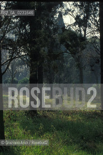 Nome:..ISOLA DI SAN CLEMENTE: OSPEDALE ....Localizzazione:..VENEZIA / ISOLA DI SAN CLEMENTE / LAGUNA SUD..VENICE / THE ISLE OF SAN CLEMENTE / THE SOUTH LAGOON..Soggetto:..ISOLA DI SAN CLEMENTE / OSPEDALE PARCO..ISLE OF SAN CLEMENTE / HOSPITAL..Cronologia:......Autore:......Stile:......Editori Stampatori:......Committenza:......Materia e Tecnica:......Collocazione:......Note:..I PRIMI EDIFICI RISALGONO AL XII SECOLO / DAL 1834 LISOLA DIVENNE MANICOMIO PROVINCIALE FEMMINILE FINO AL1992 / SACCHEGGIATA NEL 1992, OGGI E DIVENTATA RIFUGIO PER GATTI RANDAGI, GRAZIE AI VOLONTARI DELLASSOCIAZIONE DINGO..THE FIRST BUILDINGS  DATE BACK TO THE XII CENTURY  / FROM 1834 TO 1992 IT WAS USED AS A GIRLS MENTAL HOSPITAL  / SACKED IN 1992, IT BECAME A REFUGE FOR STRAY CATS, THANKS TO  VOLUNTARY DINGO ASSOCIATION..Riproduzione Fotografica:..Graziano Arici/Rosebud2 ...Copyright:..Graziano Arici / rosebud2/....Data:..1993....Costo:..A....Key:..ISOLE ABBANDONATE / PALAZZI..UNINHABITED ISLANDS / PALACES