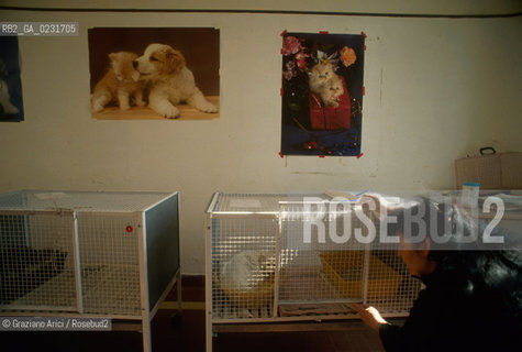 Nome:..ISOLA DI SAN CLEMENTE: RIFUGIO PER GATTI....Localizzazione:..VENEZIA / ISOLA DI SAN CLEMENTE / LAGUNA SUD..VENICE / THE ISLE OF SAN CLEMENTE / THE SOUTH  LAGOON..Soggetto:..ISOLA DI SAN CLEMENTE / RIFUGIO PER GATTI..ISLE OF  SAN CLEMENTE / REFUGE FOR CATS..Cronologia:......Autore:......Stile:......Editori Stampatori:......Committenza:......Materia e Tecnica:......Collocazione:......Note:..I PRIMI EDIFICI RISALGONO AL XII SECOLO / DAL 1834 LISOLA DIVENNE MANICOMIO PROVINCIALE FEMMINILE FINO AL1992 / SACCHEGGIATA NEL 1992, OGGI E DIVENTATA RIFUGIO PER GATTI RANDAGI, GRAZIE AI VOLONTARI DELLASSOCIAZIONE DINGO..THE FIRST BUILDINGS  DATE BACK TO THE XII CENTURY  / FROM 1834 TO 1992 IT WAS USED AS A GIRLS MENTAL HOSPITAL  / SACKED IN 1992, IT BECAME A REFUGE FOR STRAY CATS, THANKS TO  VOLUNTARY DINGO ASSOCIATION..Riproduzione Fotografica:..Graziano Arici/Rosebud2 ...Copyright:..Graziano Arici / rosebud2/....Data:..1993....Costo:..A....Key:..ISOLE ABBANDONATE..UNINHABITED ISLANDS