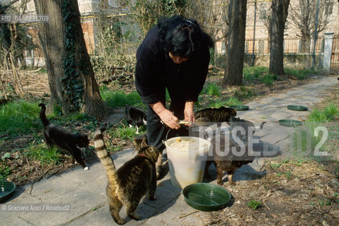 Nome:..ISOLA DI SAN CLEMENTE: RIFUGIO PER GATTI....Localizzazione:..VENEZIA / ISOLA DI SAN CLEMENTE / LAGUNA SUD..VENICE / THE ISLE OF SAN CLEMENTE / THE SOUTH  LAGOON..Soggetto:..ISOLA DI SAN CLEMENTE / RIFUGIO PER GATTI..ISLE OF  SAN CLEMENTE / REFUGE FOR CATS..Cronologia:......Autore:......Stile:......Editori Stampatori:......Committenza:......Materia e Tecnica:......Collocazione:......Note:..I PRIMI EDIFICI RISALGONO AL XII SECOLO / DAL 1834 LISOLA DIVENNE MANICOMIO PROVINCIALE FEMMINILE FINO AL1992 / SACCHEGGIATA NEL 1992, OGGI E DIVENTATA RIFUGIO PER GATTI RANDAGI, GRAZIE AI VOLONTARI DELLASSOCIAZIONE DINGO..THE FIRST BUILDINGS  DATE BACK TO THE XII CENTURY  / FROM 1834 TO 1992 IT WAS USED AS A GIRLS MENTAL HOSPITAL  / SACKED IN 1992, IT BECAME A REFUGE FOR STRAY CATS, THANKS TO  VOLUNTARY DINGO ASSOCIATION..Riproduzione Fotografica:..Graziano Arici/Rosebud2 ...Copyright:..Graziano Arici / rosebud2/....Data:..1993....Costo:..A....Key:..ISOLE ABBANDONATE..UNINHABITED ISLANDS
