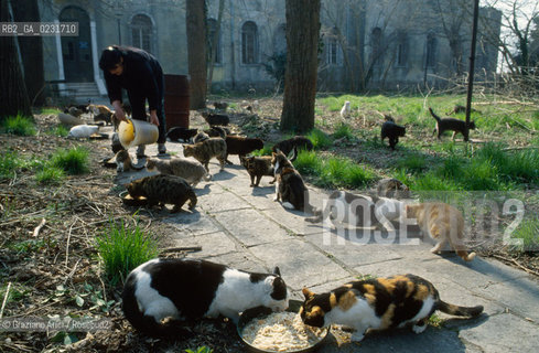 Nome:..ISOLA DI SAN CLEMENTE: RIFUGIO PER GATTI....Localizzazione:..VENEZIA / ISOLA DI SAN CLEMENTE / LAGUNA SUD..VENICE / THE ISLE OF SAN CLEMENTE / THE SOUTH  LAGOON..Soggetto:..ISOLA DI SAN CLEMENTE / RIFUGIO PER GATTI..ISLE OF  SAN CLEMENTE / REFUGE FOR CATS..Cronologia:......Autore:......Stile:......Editori Stampatori:......Committenza:......Materia e Tecnica:......Collocazione:......Note:..I PRIMI EDIFICI RISALGONO AL XII SECOLO / DAL 1834 LISOLA DIVENNE MANICOMIO PROVINCIALE FEMMINILE FINO AL1992 / SACCHEGGIATA NEL 1992, OGGI E DIVENTATA RIFUGIO PER GATTI RANDAGI, GRAZIE AI VOLONTARI DELLASSOCIAZIONE DINGO..THE FIRST BUILDINGS  DATE BACK TO THE XII CENTURY  / FROM 1834 TO 1992 IT WAS USED AS A GIRLS MENTAL HOSPITAL  / SACKED IN 1992, IT BECAME A REFUGE FOR STRAY CATS, THANKS TO  VOLUNTARY DINGO ASSOCIATION..Riproduzione Fotografica:..Graziano Arici/Rosebud2 ...Copyright:..Graziano Arici / rosebud2/....Data:..1993....Costo:..A....Key:..ISOLE ABBANDONATE..UNINHABITED ISLANDS