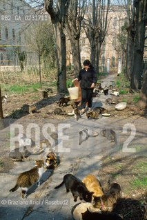 Nome:..ISOLA DI SAN CLEMENTE: RIFUGIO PER GATTI....Localizzazione:..VENEZIA / ISOLA DI SAN CLEMENTE / LAGUNA SUD..VENICE / THE ISLE OF SAN CLEMENTE / THE SOUTH  LAGOON..Soggetto:..ISOLA DI SAN CLEMENTE / RIFUGIO PER GATTI..ISLE OF  SAN CLEMENTE / REFUGE FOR CATS..Cronologia:......Autore:......Stile:......Editori Stampatori:......Committenza:......Materia e Tecnica:......Collocazione:......Note:..I PRIMI EDIFICI RISALGONO AL XII SECOLO / DAL 1834 LISOLA DIVENNE MANICOMIO PROVINCIALE FEMMINILE FINO AL1992 / SACCHEGGIATA NEL 1992, OGGI E DIVENTATA RIFUGIO PER GATTI RANDAGI, GRAZIE AI VOLONTARI DELLASSOCIAZIONE DINGO..THE FIRST BUILDINGS  DATE BACK TO THE XII CENTURY  / FROM 1834 TO 1992 IT WAS USED AS A GIRLS MENTAL HOSPITAL  / SACKED IN 1992, IT BECAME A REFUGE FOR STRAY CATS, THANKS TO  VOLUNTARY DINGO ASSOCIATION..Riproduzione Fotografica:..Graziano Arici/Rosebud2 ...Copyright:..Graziano Arici / rosebud2/....Data:..1993....Costo:..A....Key:..ISOLE ABBANDONATE..UNINHABITED ISLANDS