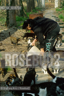 Nome:..ISOLA DI SAN CLEMENTE: RIFUGIO PER GATTI....Localizzazione:..VENEZIA / ISOLA DI SAN CLEMENTE / LAGUNA SUD..VENICE / THE ISLE OF SAN CLEMENTE / THE SOUTH  LAGOON..Soggetto:..ISOLA DI SAN CLEMENTE / RIFUGIO PER GATTI..ISLE OF  SAN CLEMENTE / REFUGE FOR CATS..Cronologia:......Autore:......Stile:......Editori Stampatori:......Committenza:......Materia e Tecnica:......Collocazione:......Note:..I PRIMI EDIFICI RISALGONO AL XII SECOLO / DAL 1834 LISOLA DIVENNE MANICOMIO PROVINCIALE FEMMINILE FINO AL1992 / SACCHEGGIATA NEL 1992, OGGI E DIVENTATA RIFUGIO PER GATTI RANDAGI, GRAZIE AI VOLONTARI DELLASSOCIAZIONE DINGO..THE FIRST BUILDINGS  DATE BACK TO THE XII CENTURY  / FROM 1834 TO 1992 IT WAS USED AS A GIRLS MENTAL HOSPITAL  / SACKED IN 1992, IT BECAME A REFUGE FOR STRAY CATS, THANKS TO  VOLUNTARY DINGO ASSOCIATION..Riproduzione Fotografica:..Graziano Arici/Rosebud2 ...Copyright:..Graziano Arici / rosebud2/....Data:..1993....Costo:..A....Key:..ISOLE ABBANDONATE..UNINHABITED ISLANDS
