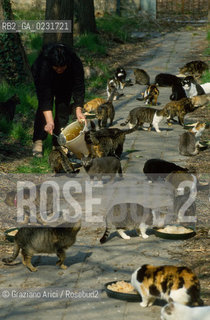 Nome:..ISOLA DI SAN CLEMENTE: RIFUGIO PER GATTI....Localizzazione:..VENEZIA / ISOLA DI SAN CLEMENTE / LAGUNA SUD..VENICE / THE ISLE OF SAN CLEMENTE / THE SOUTH  LAGOON..Soggetto:..ISOLA DI SAN CLEMENTE / RIFUGIO PER GATTI..ISLE OF  SAN CLEMENTE / REFUGE FOR CATS..Cronologia:......Autore:......Stile:......Editori Stampatori:......Committenza:......Materia e Tecnica:......Collocazione:......Note:..I PRIMI EDIFICI RISALGONO AL XII SECOLO / DAL 1834 LISOLA DIVENNE MANICOMIO PROVINCIALE FEMMINILE FINO AL1992 / SACCHEGGIATA NEL 1992, OGGI E DIVENTATA RIFUGIO PER GATTI RANDAGI, GRAZIE AI VOLONTARI DELLASSOCIAZIONE DINGO..THE FIRST BUILDINGS  DATE BACK TO THE XII CENTURY  / FROM 1834 TO 1992 IT WAS USED AS A GIRLS MENTAL HOSPITAL  / SACKED IN 1992, IT BECAME A REFUGE FOR STRAY CATS, THANKS TO  VOLUNTARY DINGO ASSOCIATION..Riproduzione Fotografica:..Graziano Arici/Rosebud2 ...Copyright:..Graziano Arici / rosebud2/....Data:..1993....Costo:..A....Key:..ISOLE ABBANDONATE..UNINHABITED ISLANDS