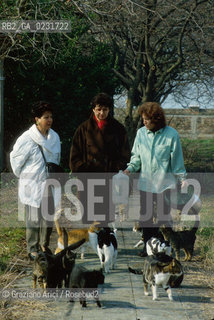 Nome:..ISOLA DI SAN CLEMENTE: RIFUGIO PER GATTI....Localizzazione:..VENEZIA / ISOLA DI SAN CLEMENTE / LAGUNA SUD..VENICE / THE ISLE OF SAN CLEMENTE / THE SOUTH  LAGOON..Soggetto:..ISOLA DI SAN CLEMENTE / RIFUGIO PER GATTI..ISLE OF  SAN CLEMENTE / REFUGE FOR CATS..Cronologia:......Autore:......Stile:......Editori Stampatori:......Committenza:......Materia e Tecnica:......Collocazione:......Note:..I PRIMI EDIFICI RISALGONO AL XII SECOLO / DAL 1834 LISOLA DIVENNE MANICOMIO PROVINCIALE FEMMINILE FINO AL1992 / SACCHEGGIATA NEL 1992, OGGI E DIVENTATA RIFUGIO PER GATTI RANDAGI, GRAZIE AI VOLONTARI DELLASSOCIAZIONE DINGO..THE FIRST BUILDINGS  DATE BACK TO THE XII CENTURY  / FROM 1834 TO 1992 IT WAS USED AS A GIRLS MENTAL HOSPITAL  / SACKED IN 1992, IT BECAME A REFUGE FOR STRAY CATS, THANKS TO  VOLUNTARY DINGO ASSOCIATION..Riproduzione Fotografica:..Graziano Arici/Rosebud2 ...Copyright:..Graziano Arici / rosebud2/....Data:..1993....Costo:..A....Key:..ISOLE ABBANDONATE..UNINHABITED ISLANDS