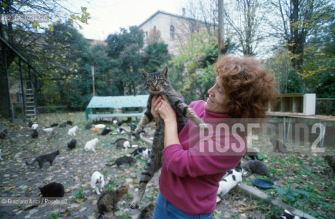 Nome:..ISOLA DI SAN CLEMENTE: RIFUGIO PER GATTI....Localizzazione:..VENEZIA / ISOLA DI SAN CLEMENTE / LAGUNA SUD..VENICE / THE ISLE OF SAN CLEMENTE / THE SOUTH  LAGOON..Soggetto:..ISOLA DI SAN CLEMENTE / RIFUGIO PER GATTI..ISLE OF  SAN CLEMENTE / REFUGE FOR CATS..Cronologia:......Autore:......Stile:......Editori Stampatori:......Committenza:......Materia e Tecnica:......Collocazione:......Note:..I PRIMI EDIFICI RISALGONO AL XII SECOLO / DAL 1834 LISOLA DIVENNE MANICOMIO PROVINCIALE FEMMINILE FINO AL1992 / SACCHEGGIATA NEL 1992, OGGI E DIVENTATA RIFUGIO PER GATTI RANDAGI, GRAZIE AI VOLONTARI DELLASSOCIAZIONE DINGO..THE FIRST BUILDINGS  DATE BACK TO THE XII CENTURY  / FROM 1834 TO 1992 IT WAS USED AS A GIRLS MENTAL HOSPITAL  / SACKED IN 1992, IT BECAME A REFUGE FOR STRAY CATS, THANKS TO  VOLUNTARY DINGO ASSOCIATION..Riproduzione Fotografica:..Graziano Arici/Rosebud2 ...Copyright:..Graziano Arici / rosebud2/....Data:..1993....Costo:..A....Key:..ISOLE ABBANDONATE..UNINHABITED ISLANDS