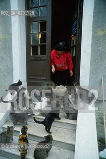 Nome:..ISOLA DI SAN CLEMENTE: RIFUGIO PER GATTI....Localizzazione:..VENEZIA / ISOLA DI SAN CLEMENTE / LAGUNA SUD..VENICE / THE ISLE OF SAN CLEMENTE / THE SOUTH  LAGOON..Soggetto:..ISOLA DI SAN CLEMENTE / RIFUGIO PER GATTI..ISLE OF  SAN CLEMENTE / REFUGE FOR CATS..Cronologia:......Autore:......Stile:......Editori Stampatori:......Committenza:......Materia e Tecnica:......Collocazione:......Note:..I PRIMI EDIFICI RISALGONO AL XII SECOLO / DAL 1834 LISOLA DIVENNE MANICOMIO PROVINCIALE FEMMINILE FINO AL1992 / SACCHEGGIATA NEL 1992, OGGI E DIVENTATA RIFUGIO PER GATTI RANDAGI, GRAZIE AI VOLONTARI DELLASSOCIAZIONE DINGO..THE FIRST BUILDINGS  DATE BACK TO THE XII CENTURY  / FROM 1834 TO 1992 IT WAS USED AS A GIRLS MENTAL HOSPITAL  / SACKED IN 1992, IT BECAME A REFUGE FOR STRAY CATS, THANKS TO  VOLUNTARY DINGO ASSOCIATION..Riproduzione Fotografica:..Graziano Arici/Rosebud2 ...Copyright:..Graziano Arici / rosebud2/....Data:..1993....Costo:..A....Key:..ISOLE ABBANDONATE..UNINHABITED ISLANDS