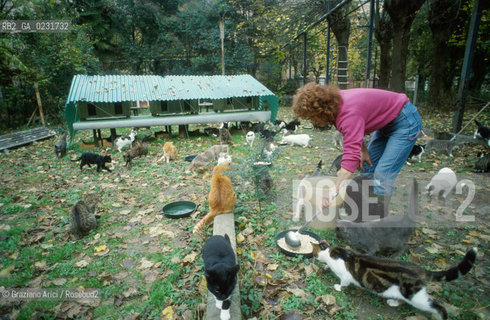 Nome:..ISOLA DI SAN CLEMENTE: RIFUGIO PER GATTI....Localizzazione:..VENEZIA / ISOLA DI SAN CLEMENTE / LAGUNA SUD..VENICE / THE ISLE OF SAN CLEMENTE / THE SOUTH  LAGOON..Soggetto:..ISOLA DI SAN CLEMENTE / RIFUGIO PER GATTI..ISLE OF  SAN CLEMENTE / REFUGE FOR CATS..Cronologia:......Autore:......Stile:......Editori Stampatori:......Committenza:......Materia e Tecnica:......Collocazione:......Note:..I PRIMI EDIFICI RISALGONO AL XII SECOLO / DAL 1834 LISOLA DIVENNE MANICOMIO PROVINCIALE FEMMINILE FINO AL1992 / SACCHEGGIATA NEL 1992, OGGI E DIVENTATA RIFUGIO PER GATTI RANDAGI, GRAZIE AI VOLONTARI DELLASSOCIAZIONE DINGO..THE FIRST BUILDINGS  DATE BACK TO THE XII CENTURY  / FROM 1834 TO 1992 IT WAS USED AS A GIRLS MENTAL HOSPITAL  / SACKED IN 1992, IT BECAME A REFUGE FOR STRAY CATS, THANKS TO  VOLUNTARY DINGO ASSOCIATION..Riproduzione Fotografica:..Graziano Arici/Rosebud2 ...Copyright:..Graziano Arici / rosebud2/....Data:..1993....Costo:..A....Key:..ISOLE ABBANDONATE..UNINHABITED ISLANDS