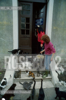 Nome:..ISOLA DI SAN CLEMENTE: RIFUGIO PER GATTI....Localizzazione:..VENEZIA / ISOLA DI SAN CLEMENTE / LAGUNA SUD..VENICE / THE ISLE OF SAN CLEMENTE / THE SOUTH  LAGOON..Soggetto:..ISOLA DI SAN CLEMENTE / RIFUGIO PER GATTI..ISLE OF  SAN CLEMENTE / REFUGE FOR CATS..Cronologia:......Autore:......Stile:......Editori Stampatori:......Committenza:......Materia e Tecnica:......Collocazione:......Note:..I PRIMI EDIFICI RISALGONO AL XII SECOLO / DAL 1834 LISOLA DIVENNE MANICOMIO PROVINCIALE FEMMINILE FINO AL1992 / SACCHEGGIATA NEL 1992, OGGI E DIVENTATA RIFUGIO PER GATTI RANDAGI, GRAZIE AI VOLONTARI DELLASSOCIAZIONE DINGO..THE FIRST BUILDINGS  DATE BACK TO THE XII CENTURY  / FROM 1834 TO 1992 IT WAS USED AS A GIRLS MENTAL HOSPITAL  / SACKED IN 1992, IT BECAME A REFUGE FOR STRAY CATS, THANKS TO  VOLUNTARY DINGO ASSOCIATION..Riproduzione Fotografica:..Graziano Arici/Rosebud2 ...Copyright:..Graziano Arici / rosebud2/....Data:..1993....Costo:..A....Key:..ISOLE ABBANDONATE..UNINHABITED ISLANDS
