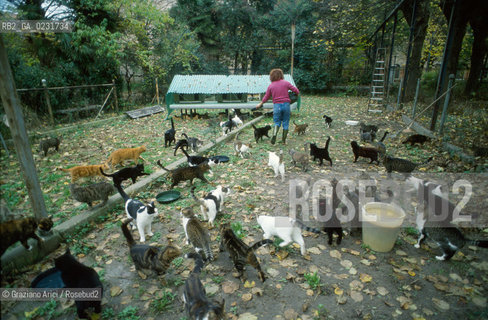 Nome:..ISOLA DI SAN CLEMENTE: RIFUGIO PER GATTI....Localizzazione:..VENEZIA / ISOLA DI SAN CLEMENTE / LAGUNA SUD..VENICE / THE ISLE OF SAN CLEMENTE / THE SOUTH  LAGOON..Soggetto:..ISOLA DI SAN CLEMENTE / RIFUGIO PER GATTI..ISLE OF  SAN CLEMENTE / REFUGE FOR CATS..Cronologia:......Autore:......Stile:......Editori Stampatori:......Committenza:......Materia e Tecnica:......Collocazione:......Note:..I PRIMI EDIFICI RISALGONO AL XII SECOLO / DAL 1834 LISOLA DIVENNE MANICOMIO PROVINCIALE FEMMINILE FINO AL1992 / SACCHEGGIATA NEL 1992, OGGI E DIVENTATA RIFUGIO PER GATTI RANDAGI, GRAZIE AI VOLONTARI DELLASSOCIAZIONE DINGO..THE FIRST BUILDINGS  DATE BACK TO THE XII CENTURY  / FROM 1834 TO 1992 IT WAS USED AS A GIRLS MENTAL HOSPITAL  / SACKED IN 1992, IT BECAME A REFUGE FOR STRAY CATS, THANKS TO  VOLUNTARY DINGO ASSOCIATION..Riproduzione Fotografica:..Graziano Arici/Rosebud2 ...Copyright:..Graziano Arici / rosebud2/....Data:..1993....Costo:..A....Key:..ISOLE ABBANDONATE..UNINHABITED ISLANDS