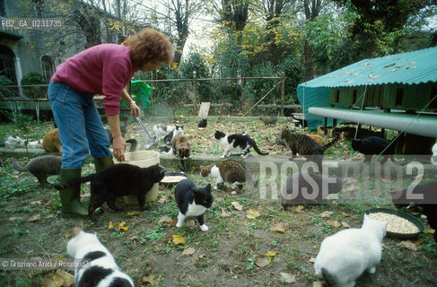 Nome:..ISOLA DI SAN CLEMENTE: RIFUGIO PER GATTI....Localizzazione:..VENEZIA / ISOLA DI SAN CLEMENTE / LAGUNA SUD..VENICE / THE ISLE OF SAN CLEMENTE / THE SOUTH  LAGOON..Soggetto:..ISOLA DI SAN CLEMENTE / RIFUGIO PER GATTI..ISLE OF  SAN CLEMENTE / REFUGE FOR CATS..Cronologia:......Autore:......Stile:......Editori Stampatori:......Committenza:......Materia e Tecnica:......Collocazione:......Note:..I PRIMI EDIFICI RISALGONO AL XII SECOLO / DAL 1834 LISOLA DIVENNE MANICOMIO PROVINCIALE FEMMINILE FINO AL1992 / SACCHEGGIATA NEL 1992, OGGI E DIVENTATA RIFUGIO PER GATTI RANDAGI, GRAZIE AI VOLONTARI DELLASSOCIAZIONE DINGO..THE FIRST BUILDINGS  DATE BACK TO THE XII CENTURY  / FROM 1834 TO 1992 IT WAS USED AS A GIRLS MENTAL HOSPITAL  / SACKED IN 1992, IT BECAME A REFUGE FOR STRAY CATS, THANKS TO  VOLUNTARY DINGO ASSOCIATION..Riproduzione Fotografica:..Graziano Arici/Rosebud2 ...Copyright:..Graziano Arici / rosebud2/....Data:..1993....Costo:..A....Key:..ISOLE ABBANDONATE..UNINHABITED ISLANDS