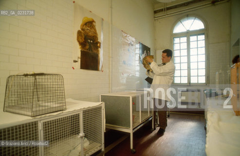 Nome:..ISOLA DI SAN CLEMENTE: RIFUGIO PER GATTI....Localizzazione:..VENEZIA / ISOLA DI SAN CLEMENTE / LAGUNA SUD..VENICE / THE ISLE OF SAN CLEMENTE / THE SOUTH  LAGOON..Soggetto:..ISOLA DI SAN CLEMENTE / RIFUGIO PER GATTI..ISLE OF  SAN CLEMENTE / REFUGE FOR CATS..Cronologia:......Autore:......Stile:......Editori Stampatori:......Committenza:......Materia e Tecnica:......Collocazione:......Note:..I PRIMI EDIFICI RISALGONO AL XII SECOLO / DAL 1834 LISOLA DIVENNE MANICOMIO PROVINCIALE FEMMINILE FINO AL1992 / SACCHEGGIATA NEL 1992, OGGI E DIVENTATA RIFUGIO PER GATTI RANDAGI, GRAZIE AI VOLONTARI DELLASSOCIAZIONE DINGO..THE FIRST BUILDINGS  DATE BACK TO THE XII CENTURY  / FROM 1834 TO 1992 IT WAS USED AS A GIRLS MENTAL HOSPITAL  / SACKED IN 1992, IT BECAME A REFUGE FOR STRAY CATS, THANKS TO  VOLUNTARY DINGO ASSOCIATION..Riproduzione Fotografica:..Graziano Arici/Rosebud2 ...Copyright:..Graziano Arici / rosebud2/....Data:..1993....Costo:..A....Key:..ISOLE ABBANDONATE..UNINHABITED ISLANDS