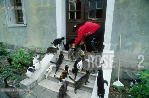 Nome:..ISOLA DI SAN CLEMENTE: RIFUGIO PER GATTI....Localizzazione:..VENEZIA / ISOLA DI SAN CLEMENTE / LAGUNA SUD..VENICE / THE ISLE OF SAN CLEMENTE / THE SOUTH  LAGOON..Soggetto:..ISOLA DI SAN CLEMENTE / RIFUGIO PER GATTI..ISLE OF  SAN CLEMENTE / REFUGE FOR CATS..Cronologia:......Autore:......Stile:......Editori Stampatori:......Committenza:......Materia e Tecnica:......Collocazione:......Note:..I PRIMI EDIFICI RISALGONO AL XII SECOLO / DAL 1834 LISOLA DIVENNE MANICOMIO PROVINCIALE FEMMINILE FINO AL1992 / SACCHEGGIATA NEL 1992, OGGI E DIVENTATA RIFUGIO PER GATTI RANDAGI, GRAZIE AI VOLONTARI DELLASSOCIAZIONE DINGO..THE FIRST BUILDINGS  DATE BACK TO THE XII CENTURY  / FROM 1834 TO 1992 IT WAS USED AS A GIRLS MENTAL HOSPITAL  / SACKED IN 1992, IT BECAME A REFUGE FOR STRAY CATS, THANKS TO  VOLUNTARY DINGO ASSOCIATION..Riproduzione Fotografica:..Graziano Arici/Rosebud2 ...Copyright:..Graziano Arici / rosebud2/....Data:..1993....Costo:..A....Key:..ISOLE ABBANDONATE..UNINHABITED ISLANDS