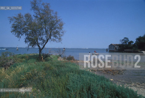 Nome:..ISOLA DI SAN GIACOMO IN PALUDO ....Localizzazione:..VENEZIA / ISOLA DI SAN  GIACOMO IN PALUDO / LAGUNA NORD..VENICE / THE ISLE OF SAN GIACOMO IN PALUDO / THE NORTH LAGOON..Soggetto:..ISOLA DI SAN GIACOMO IN PALUDO / RESTI DI UN EDIFICIO ..THE ISLE OF SAN GIACOMO IN PALUDO  / REMAINS OF A BUILDING ..Cronologia:......Autore:......Stile:......Editori Stampatori:......Committenza:......Materia e Tecnica:......Collocazione:......Note:..DAL 1860 VENNE UTILIZZATA COME POLVERIERA..SINCE1860 THE ISLE WAS USED AS A POWDER MAGAZINE ..Riproduzione Fotografica:..Graziano Arici/Rosebud2 ...Copyright:..Graziano Arici / rosebud2/....Data:..1993....Costo:..A....Key:..ISOLE ABBANDONATE..UNINHABITED ISLANDS