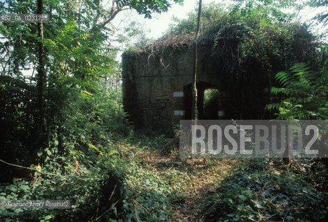 Nome:..ISOLA DI SAN GIACOMO IN PALUDO ....Localizzazione:..VENEZIA / ISOLA DI SAN  GIACOMO IN PALUDO / LAGUNA NORD..VENICE / THE ISLE OF SAN GIACOMO IN PALUDO / THE NORTH LAGOON..Soggetto:..ISOLA DI SAN GIACOMO IN PALUDO / RESTI DI UN EDIFICIO ..THE ISLE OF SAN GIACOMO IN PALUDO  / REMAINS OF A BUILDING ..Cronologia:......Autore:......Stile:......Editori Stampatori:......Committenza:......Materia e Tecnica:......Collocazione:......Note:..DAL 1860 VENNE UTILIZZATA COME POLVERIERA..SINCE1860 THE ISLE WAS USED AS A POWDER MAGAZINE ..Riproduzione Fotografica:..Graziano Arici/Rosebud2 ...Copyright:..Graziano Arici / rosebud2/....Data:..1993....Costo:..A....Key:..ISOLE ABBANDONATE..UNINHABITED ISLANDS