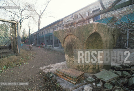 Nome:..ISOLA DEL LAZZARETTO VECCHIO....Localizzazione:..VENEZIA / ISOLA DEL LAZZARETTO VECCHIO / LAGUNA SUD..VENICE / THE ISLE OF LAZZARETTO VECCHIO / THE SOUTH LAGOON..Soggetto:..ISOLA DEL LAZZARETTO VECCHIO / POZZO..THE ISLE OF LAZZARETTO VECCHIO / WELL..Cronologia:......Autore:.. ....Stile:......Editori Stampatori:......Committenza:......Materia e Tecnica:......Collocazione:......Note:..NEL 1423 SCOPPIO LA PESTE IN CITTA E LISOLA VENNE TRASFORMATA IN LAZZARETTO ..WITH THE 1423 PLAGUE THE ISLAND BECAME LAZZARETTO  (QUARANTINE STATION)..Riproduzione Fotografica:..Graziano Arici/Rosebud2 ...Copyright:..Graziano Arici / rosebud2/....Data:..1993....Costo:..A....Key:..ISOLE ABBANDONATE..UNINHABITED ISLANDS