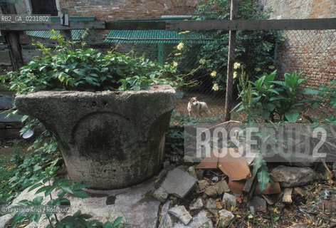 : Nome:..ISOLA DEL LAZZARETTO VECCHIO....Localizzazione:..VENEZIA / ISOLA DEL LAZZARETTO VECCHIO / LAGUNA SUD..VENICE / THE ISLE OF LAZZARETTO VECCHIO / THE SOUTH LAGOON..Soggetto:..ISOLA DEL LAZZARETTO VECCHIO / POZZO..THE ISLE OF LAZZARETTO VECCHIO / WELL..Cronologia:......Autore:.. ....Stile:......Editori Stampatori:......Committenza:......Materia e Tecnica:......Collocazione:......Note:..NEL 1423 SCOPPIO LA PESTE IN CITTA E LISOLA VENNE TRASFORMATA IN LAZZARETTO ..WITH THE 1423 PLAGUE THE ISLAND BECAME LAZZARETTO  (QUARANTINE STATION)..Riproduzione Fotografica:..Graziano Arici/Rosebud2 ...Copyright:..Graziano Arici / rosebud2/....Data:..1993....Costo:..A....Key:..ISOLE ABBANDONATE..UNINHABITED ISLANDS