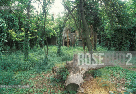 Caption: Nome:..ISOLA DEL LAZZARETTO VECCHIO....Localizzazione:..VENEZIA / ISOLA DEL LAZZARETTO VECCHIO / LAGUNA SUD..VENICE / THE ISLE OF LAZZARETTO VECCHIO / THE SOUTH LAGOON..Soggetto:..ISOLA DEL LAZZARETTO VECCHIO / ROVINE..THE ISLE OF LAZZARETTO VECCHIO / REMAINS ..Cronologia:......Autore:.. ....Stile:......Editori Stampatori:......Committenza:......Materia e Tecnica:......Collocazione:......Note:..NEL 1423 SCOPPIO LA PESTE IN CITTA E LISOLA VENNE TRASFORMATA IN LAZZARETTO ..WITH THE 1423 PLAGUE THE ISLAND BECAME LAZZARETTO  (QUARANTINE STATION)..Riproduzione Fotografica:..Graziano Arici/Rosebud2 ...Copyright:..Graziano Arici / rosebud2/....Data:..1993....Costo:..A....Key:..ISOLE ABBANDONATE..UNINHABITED ISLANDS