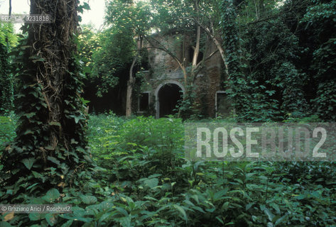 Caption: Nome:..ISOLA DEL LAZZARETTO VECCHIO....Localizzazione:..VENEZIA / ISOLA DEL LAZZARETTO VECCHIO / LAGUNA SUD..VENICE / THE ISLE OF LAZZARETTO VECCHIO / THE SOUTH LAGOON..Soggetto:..ISOLA DEL LAZZARETTO VECCHIO / ROVINE..THE ISLE OF LAZZARETTO VECCHIO / REMAINS ..Cronologia:......Autore:.. ....Stile:......Editori Stampatori:......Committenza:......Materia e Tecnica:......Collocazione:......Note:..NEL 1423 SCOPPIO LA PESTE IN CITTA E LISOLA VENNE TRASFORMATA IN LAZZARETTO ..WITH THE 1423 PLAGUE THE ISLAND BECAME LAZZARETTO  (QUARANTINE STATION)..Riproduzione Fotografica:..Graziano Arici/Rosebud2 ...Copyright:..Graziano Arici / rosebud2/....Data:..1993....Costo:..A....Key:..ISOLE ABBANDONATE..UNINHABITED ISLANDS