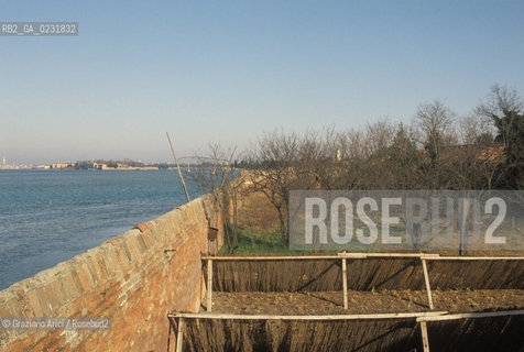 Caption: Nome:..ISOLA DEL LAZZARETTO VECCHIO....Localizzazione:..VENEZIA / ISOLA DEL LAZZARETTO VECCHIO / LAGUNA SUD..VENICE / THE ISLE OF LAZZARETTO VECCHIO / THE SOUTH LAGOON..Soggetto:..ISOLA DEL LAZZARETTO VECCHIO / CAMPI..Cronologia:......Autore:.. ....Stile:......Editori Stampatori:......Committenza:......Materia e Tecnica:......Collocazione:......Note:..NEL 1423 SCOPPIO LA PESTE IN CITTA E LISOLA VENNE TRASFORMATA IN LAZZARETTO ..WITH THE 1423 PLAGUE THE ISLAND BECAME LAZZARETTO  (QUARANTINE STATION)..Riproduzione Fotografica:..Graziano Arici/Rosebud2 ...Copyright:..Graziano Arici / rosebud2/....Data:..1993....Costo:..A....Key:..ISOLE ABBANDONATE..UNINHABITED ISLANDS